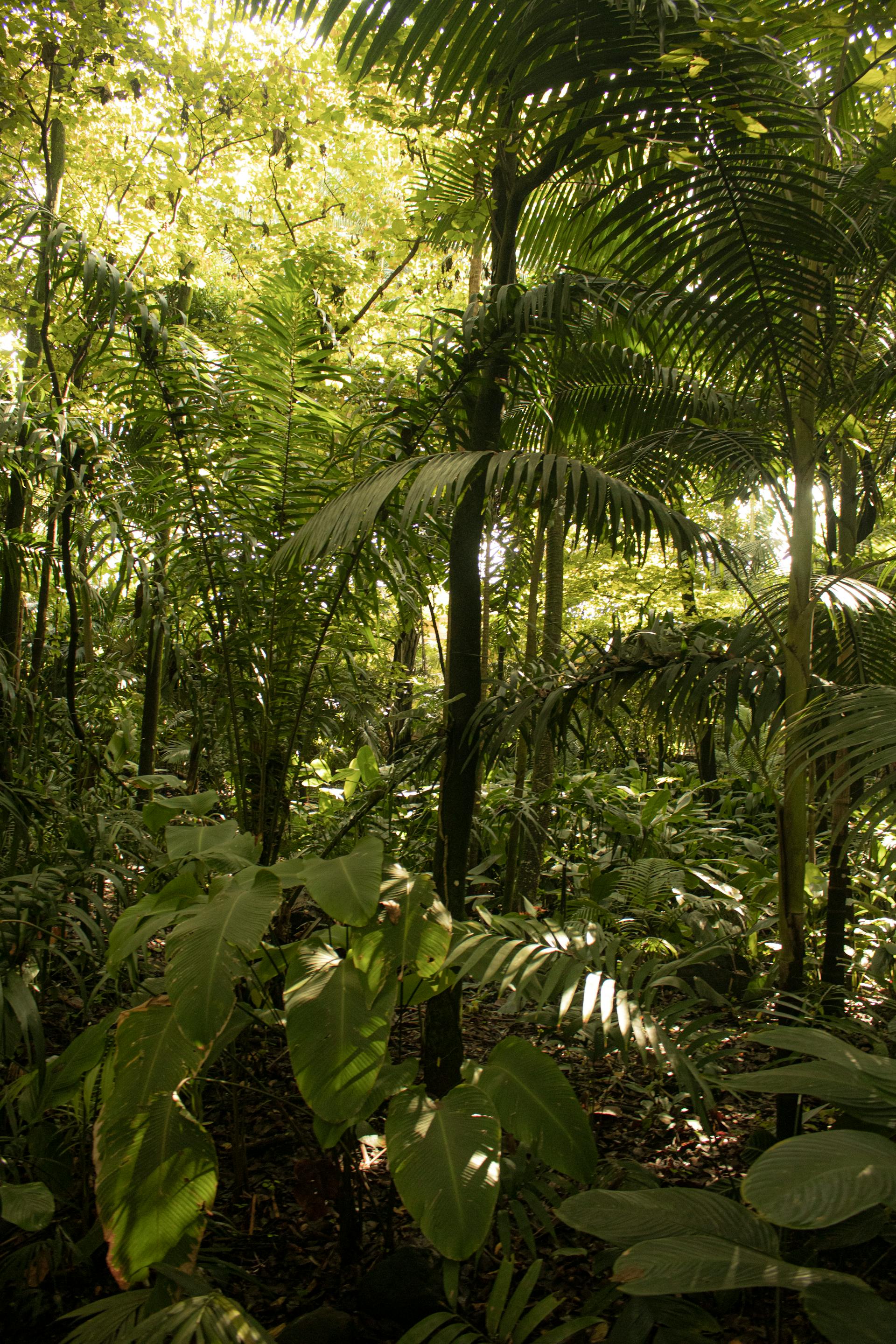Nature Based Solutions