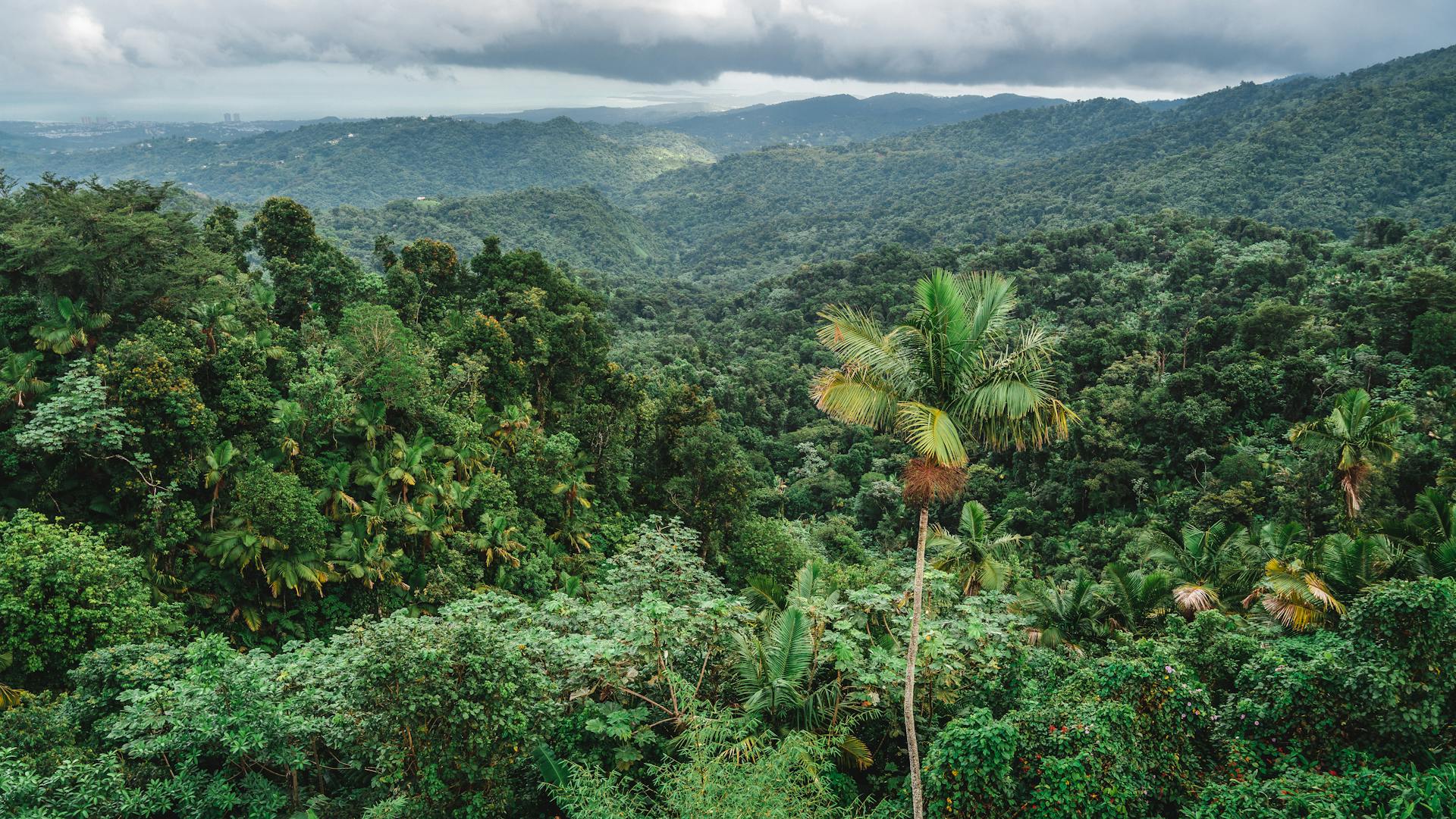 Agroforestry landscape, Tapi district